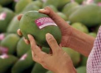 Fruit Sticker Ads