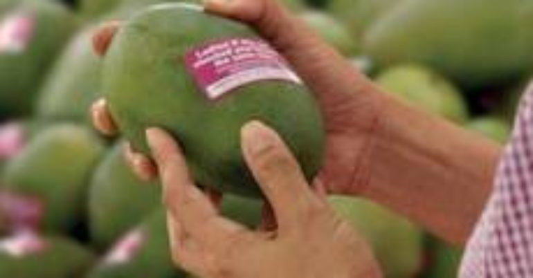 Fruit Sticker Ads