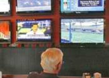 Horse Track Digital Signage