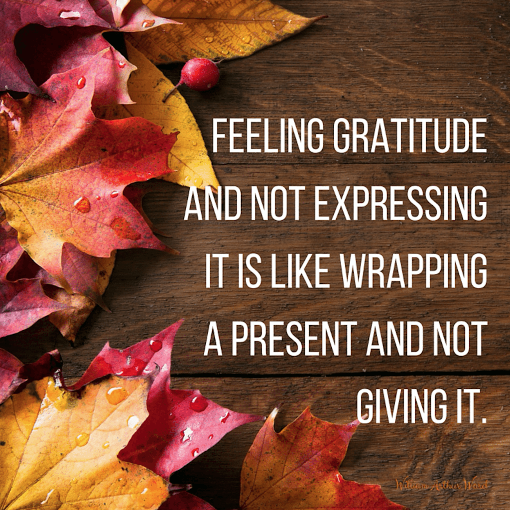 What We're Thankful For