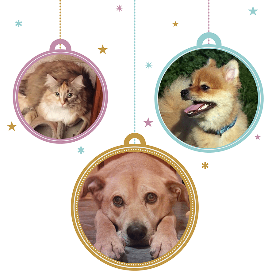 XMASPets1
