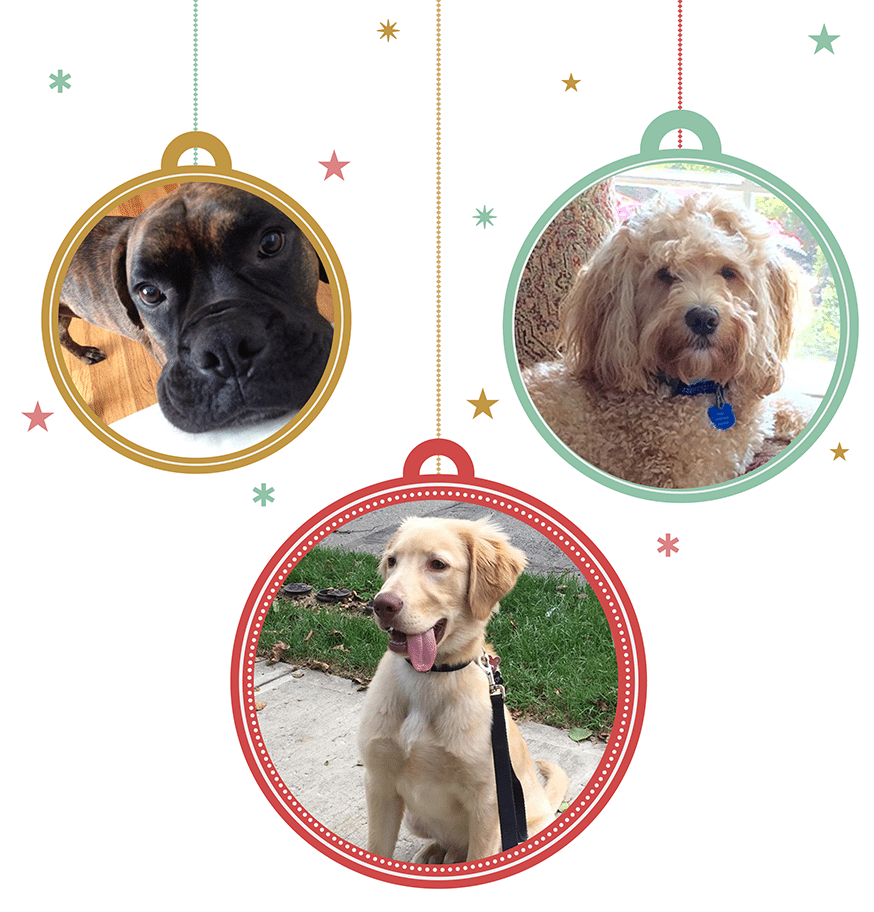 XMASPets2