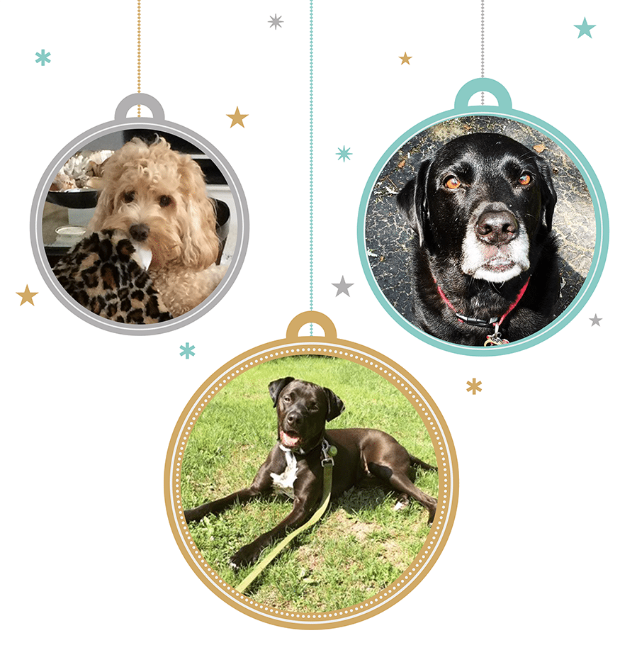 XMASPets3