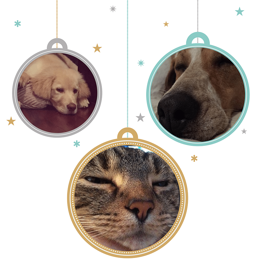 XMASPets6