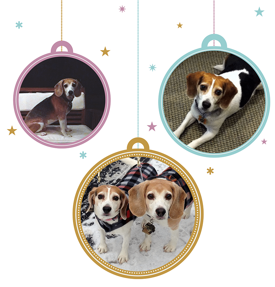 XMASPets7