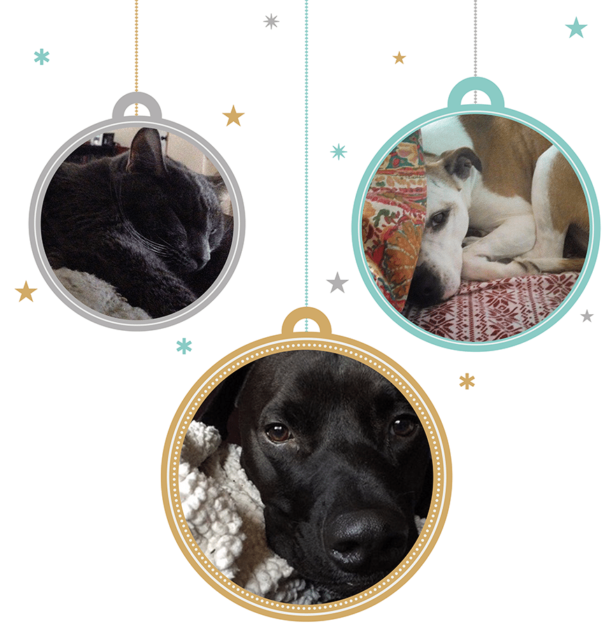 XMASPets9